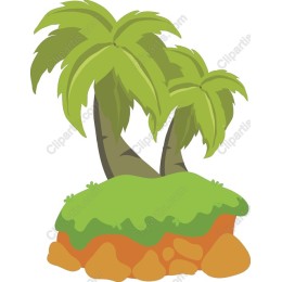 Tropical Palm Trees