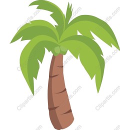 Tropical Palm Tree