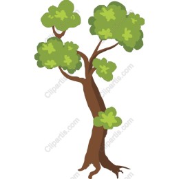 Leafy Tree in and