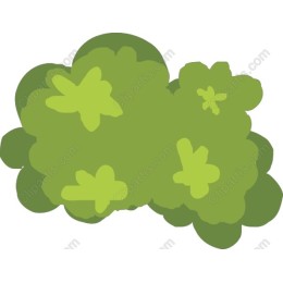 Green Foliage