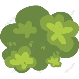 Lush Green Bush