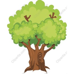 Lush Green Tree