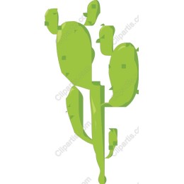 Vivid Cactus
