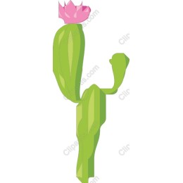 Vibrant Cactus with Pink Flower