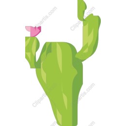 Vibrant Cactus with Pink Flower