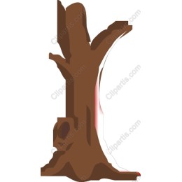Tree Trunk