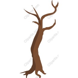 Rustic Gnarled Tree Trunk