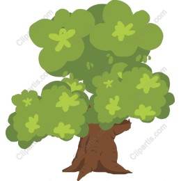 Lush Green Tree