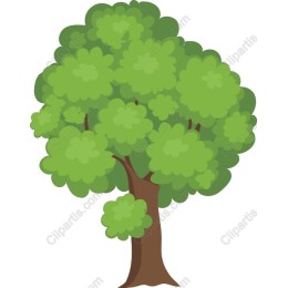 Lush Green Tree