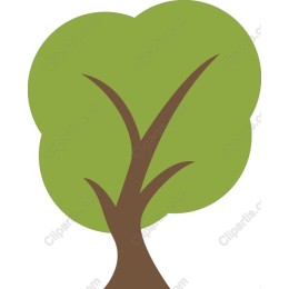 Lush Green Tree