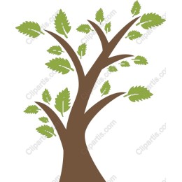 Vibrant Tree