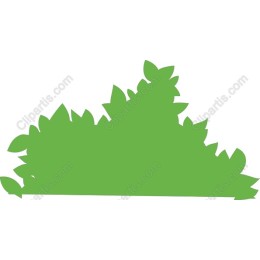 Lush Green Foliage