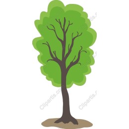 Lush Green Tree