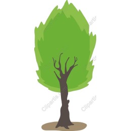 Vibrant Tree