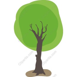 Vibrant Tree
