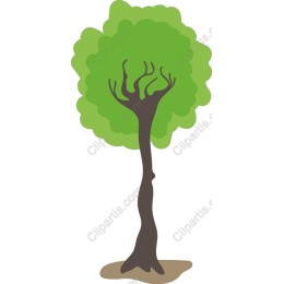 Stylized Tree