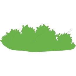 Lush Green Foliage