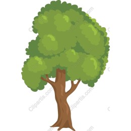 Lush Green Tree