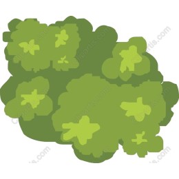 Lush Greenery