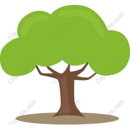 Vibrant Tree