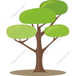 Lush Green Tree