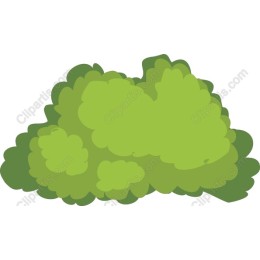Lush Green Foliage