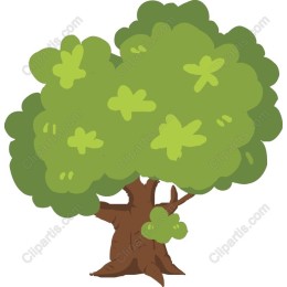 Lush Green Tree