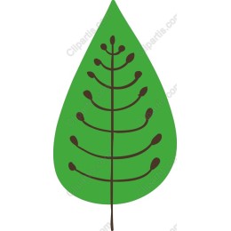 Stylized Green Leaf