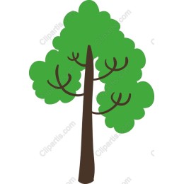Vibrant Tree