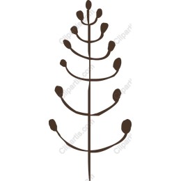 Minimalist Brown Stem
