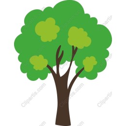 Lush Green Tree