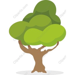 Lush Tree