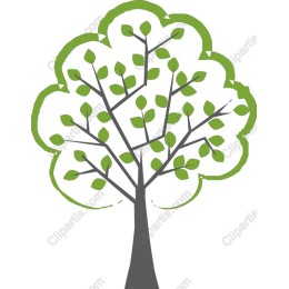Lush Green Tree