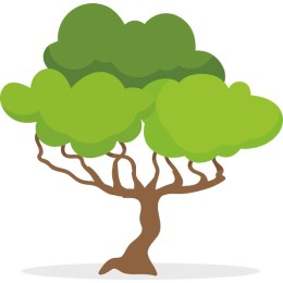Vibrant Tree