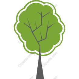 Vibrant Tree