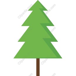 Pine Tree