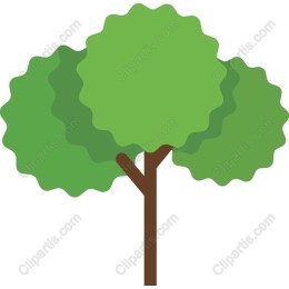 Lush Green Tree