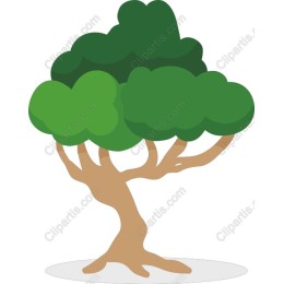 Vibrant Tree