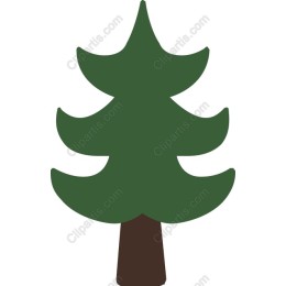 Evergreen Tree