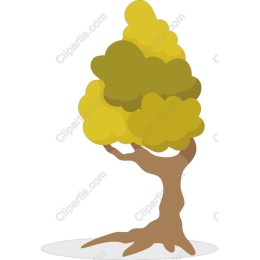 Whimsical Tree in and