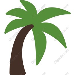 Tropical Palm Tree