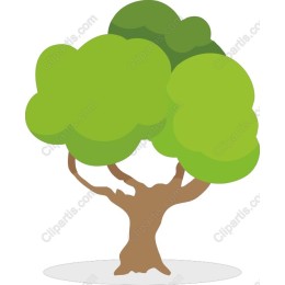 Lush Green Tree