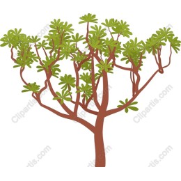 Vibrant Tree