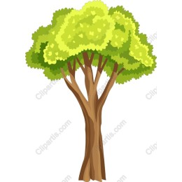 Lush Green Tree