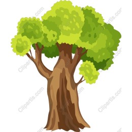 Vibrant Lush Tree