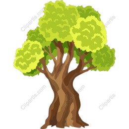 Majestic Tree