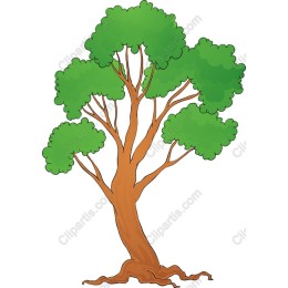 Lush Tree