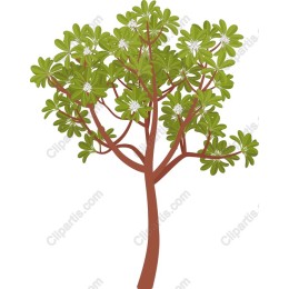 Vibrant Tree