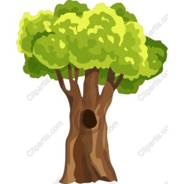 Majestic Tree