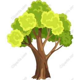 Vibrant Leafy Tree